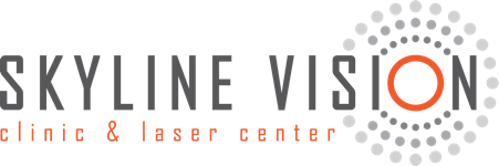 Skyline Vision 2022 Logo