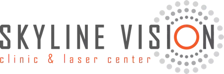 Skyline Vision 2022 Logo