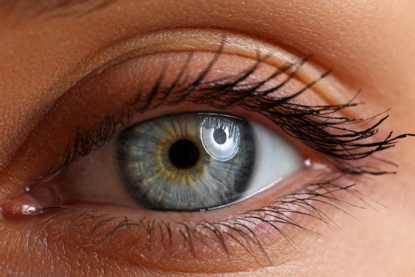 The Role of Genetics in Eye Health: What You Inherit Matters featured image