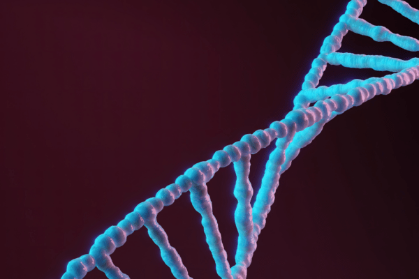 The Role of Genetics in Eye Conditions featured image
