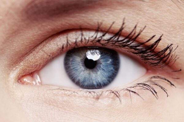 Unraveling the Mystery of Optic Nerve Disorders: Causes and Management featured image