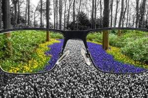 Color Blindness Explained: Types, Tests and Everyday Impacts featured image